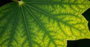 importance of color accuracy