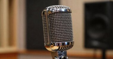 preferred microphone sound profiles