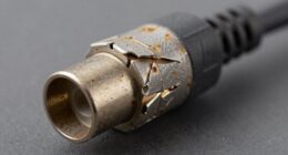 signal degradation and damage