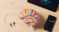 Scientists may have finally found how Alzheimer's spreads through the brain
