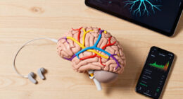 Scientists may have finally found how Alzheimer's spreads through the brain