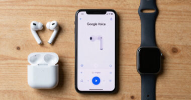 The Voice Of Google